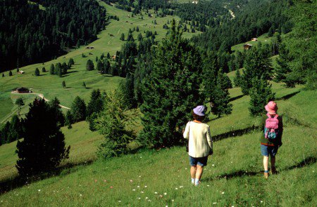 Naturpark Puez-Geisler: St. Ulrich - Seceda - Regensburger Hütte - Gamsbluthütte - St. Ulrich